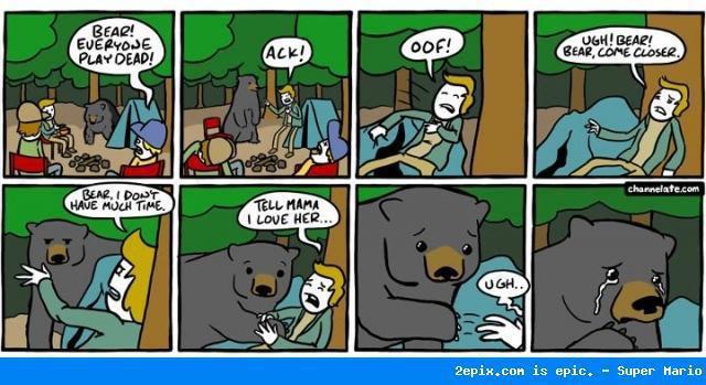 oh-no-bear.jpg?w=645